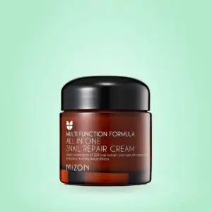 MIZON All In One Snail Repair Cream 75ml
